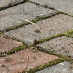 Weeds in Block Paving