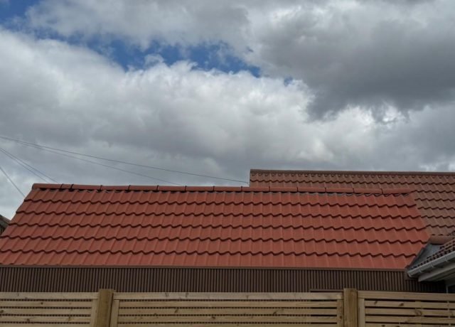 IMG-20260513-WA0040
