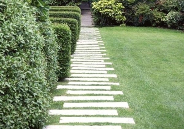landscaping.2