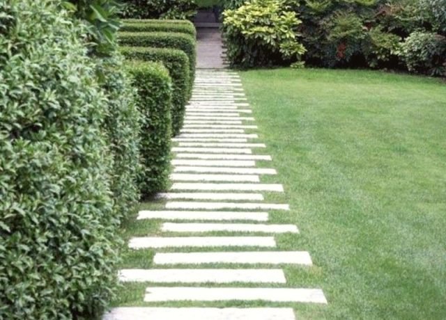 landscaping.2